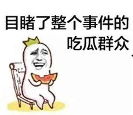 娱乐吃瓜趣闻小说