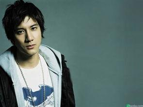 王力宏 图片,音乐梦想的璀璨星光